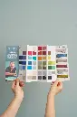Carta colors Chalk Paint 2.webp