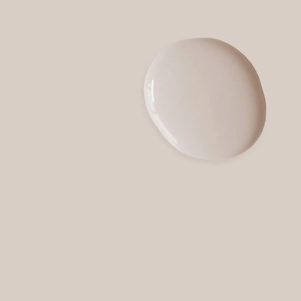 Pintura Satinada Pointe Silk